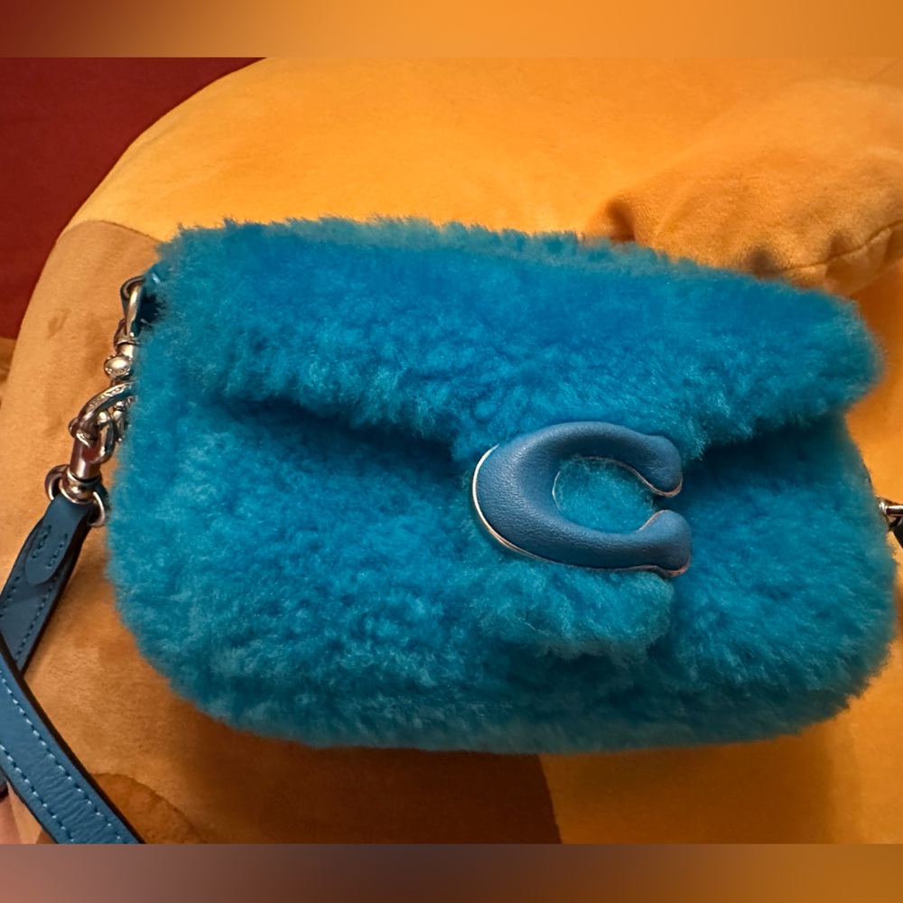 Coach Blue Shearling Crossbody Bag